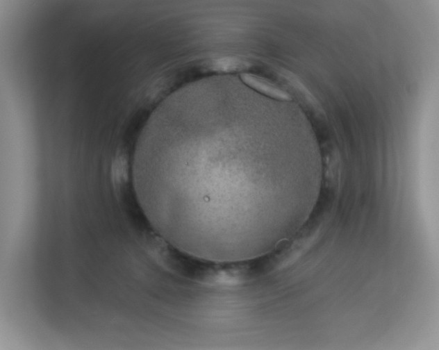 X0000113280368200909280956