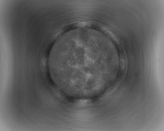 X0000113280375200909280957