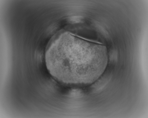 X0000113280376200909280957