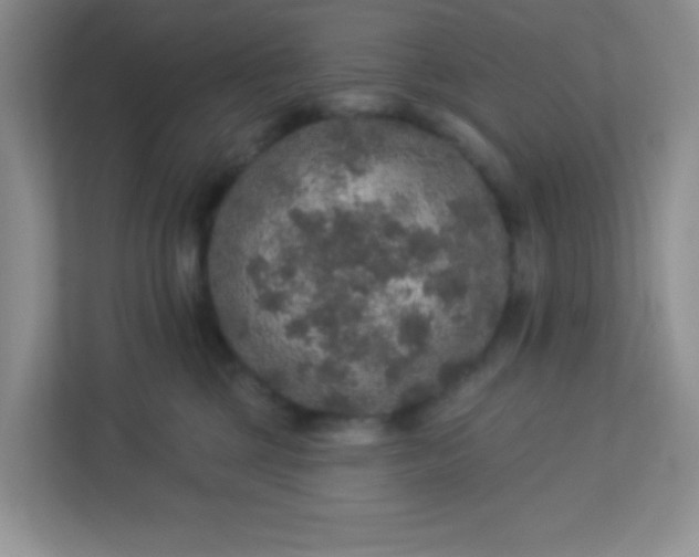 X0000113280377200909280957