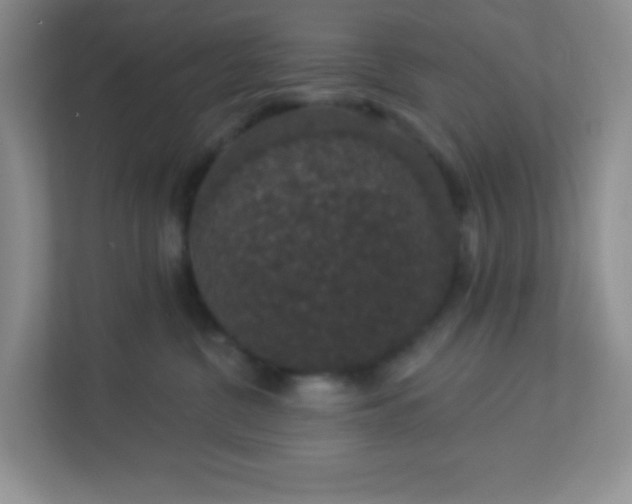 X0000113280380200909280957