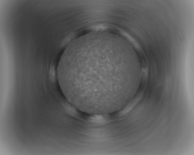 X0000113280381200909280957