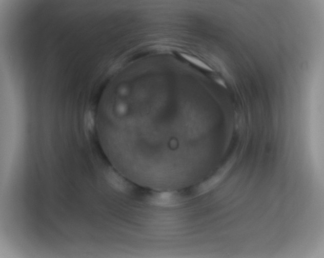 X0000113280382200909280957