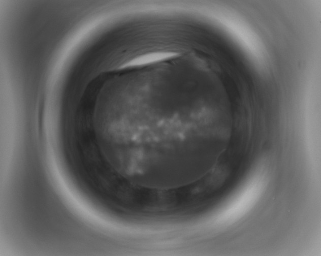 X0000113280383200909280957