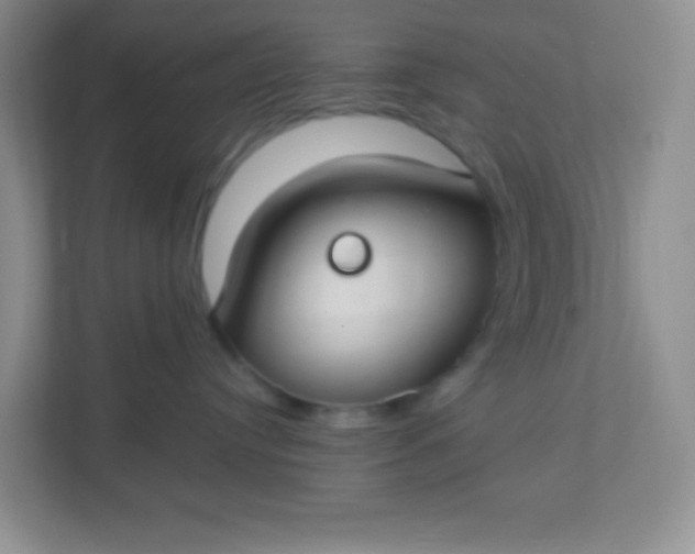 X0000113280384200909280957