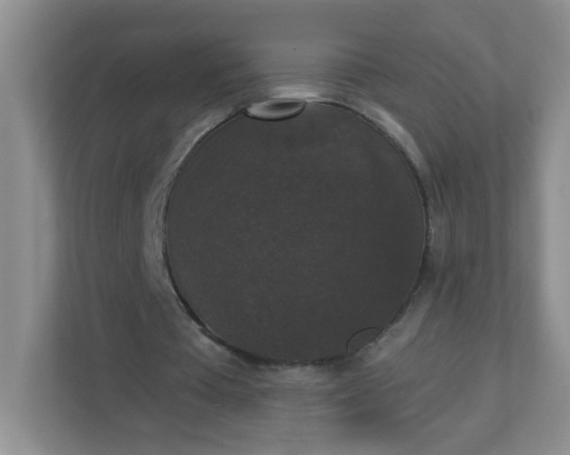 X0000113280385200909280956