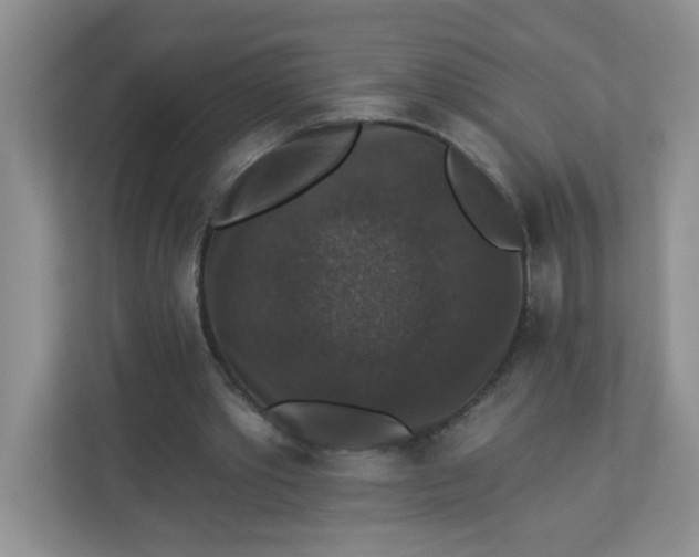 X0000113280389200909280956