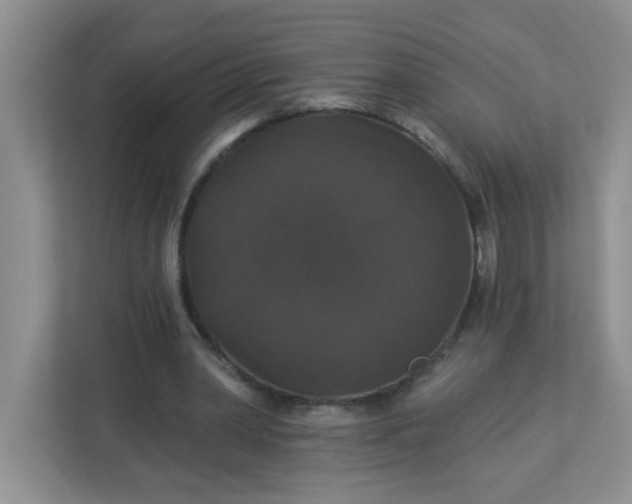 X0000113280390200909280956