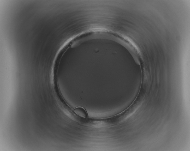 X0000113280391200909280956