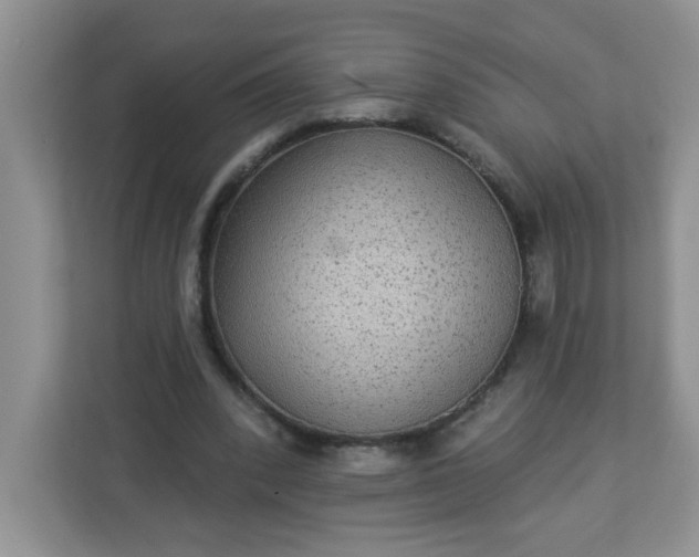 X0000113280392200909280956