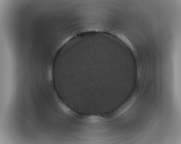 X0000113280393200909280956