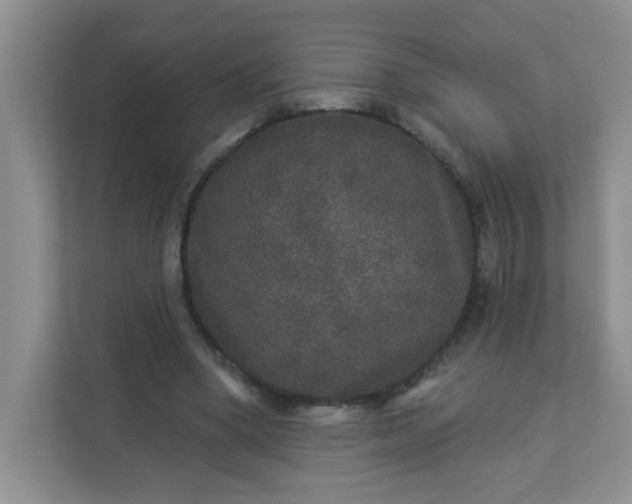 X0000113280394200909280956