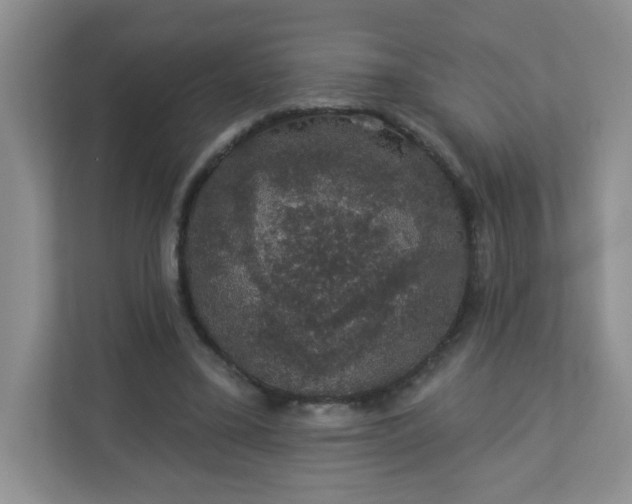 X0000113280395200909280956