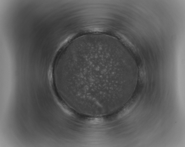 X0000113280398200909280956