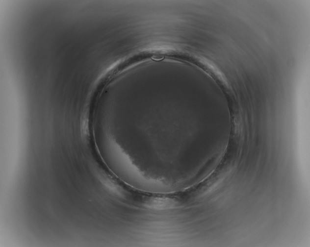 X0000113280399200909280956