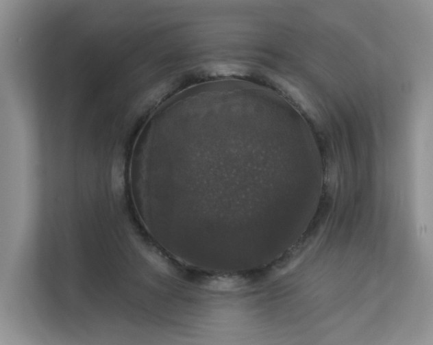 X0000113280402200909280956