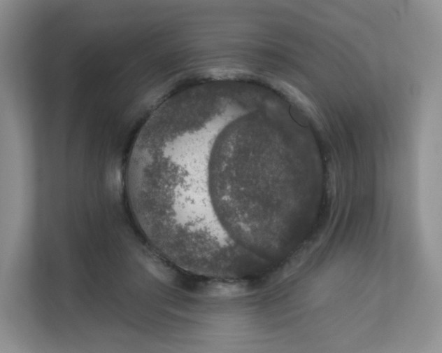 X0000113280405200909280956