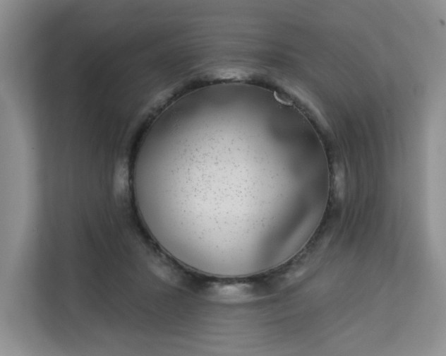 X0000113280407200909280956