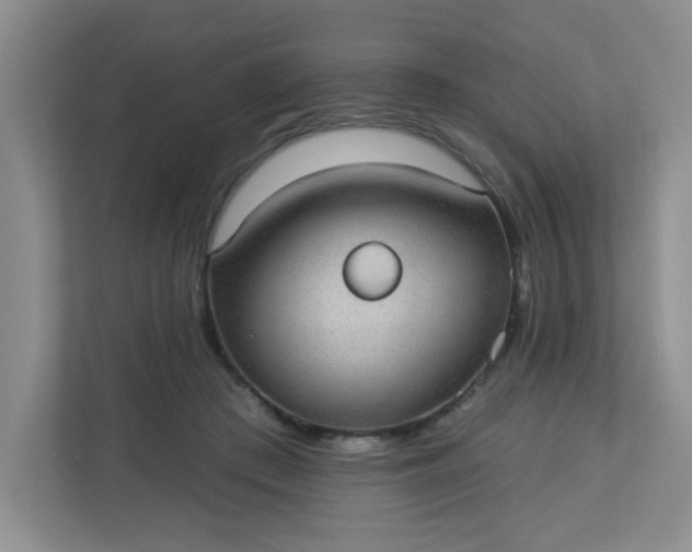 X0000113280409200909280956