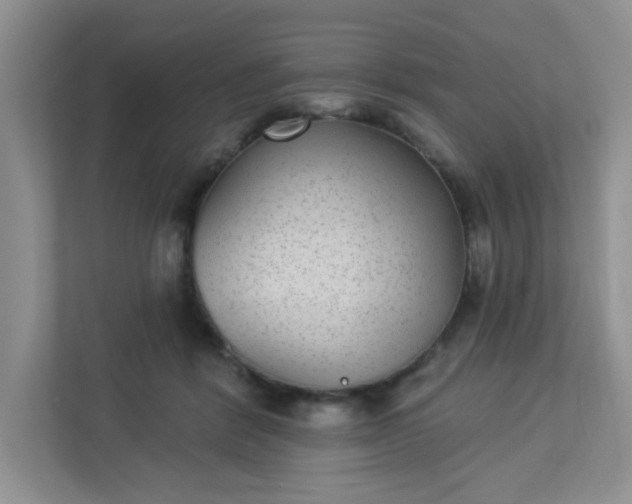 X0000113280412200909280956