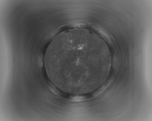 X0000113280413200909280956