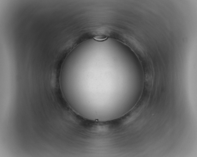 X0000113280416200909280956