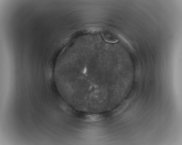 X0000113280417200909280956