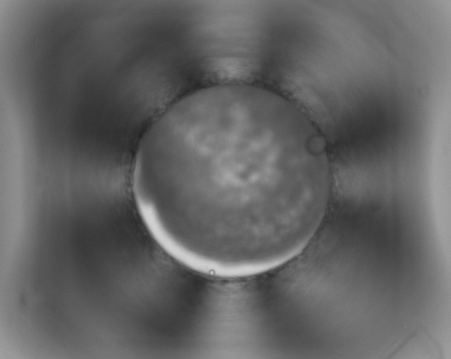 X0000113280419200909280956