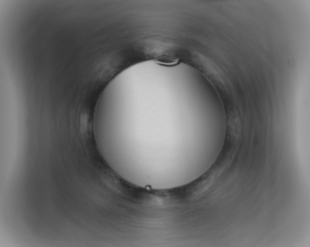 X0000113280420200909280956