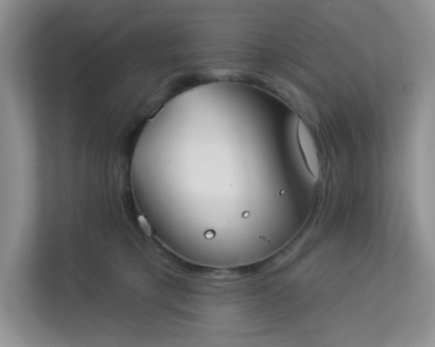 X0000113280421200909280956