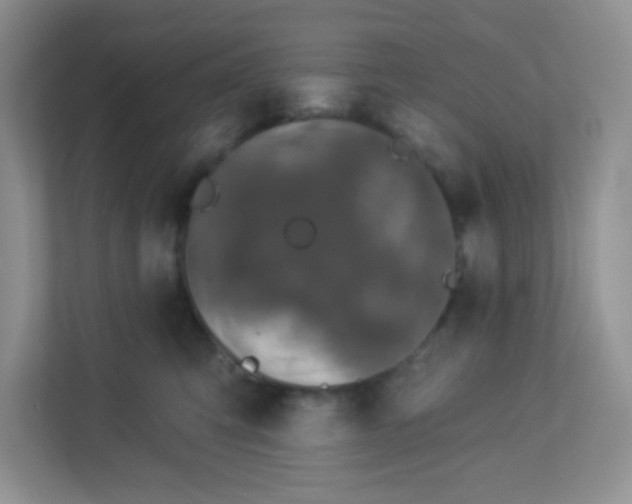 X0000113280423200909280956