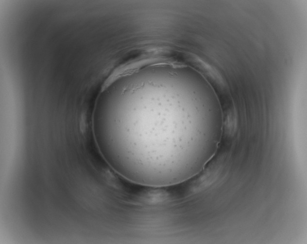 X0000113280424200909280956