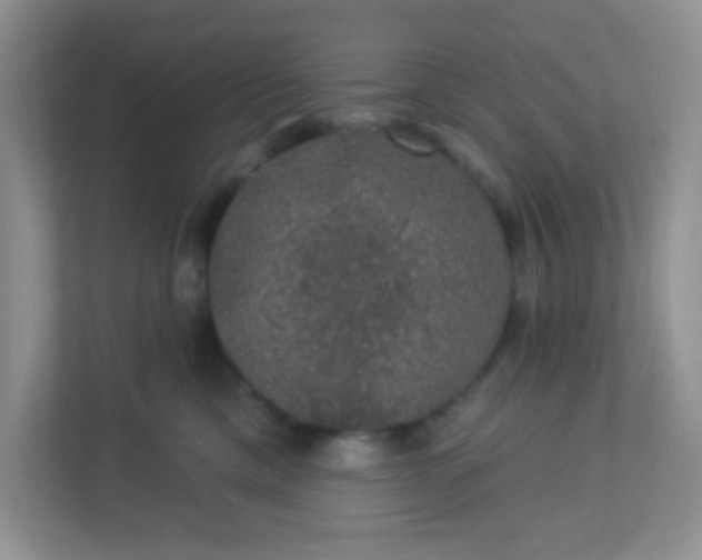 X0000113280425200909280955