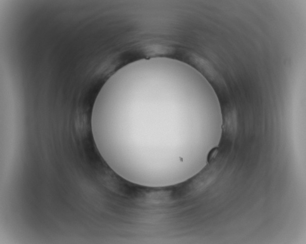 X0000113280426200909280955