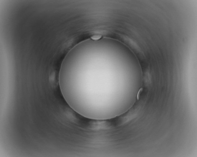 X0000113280428200909280955