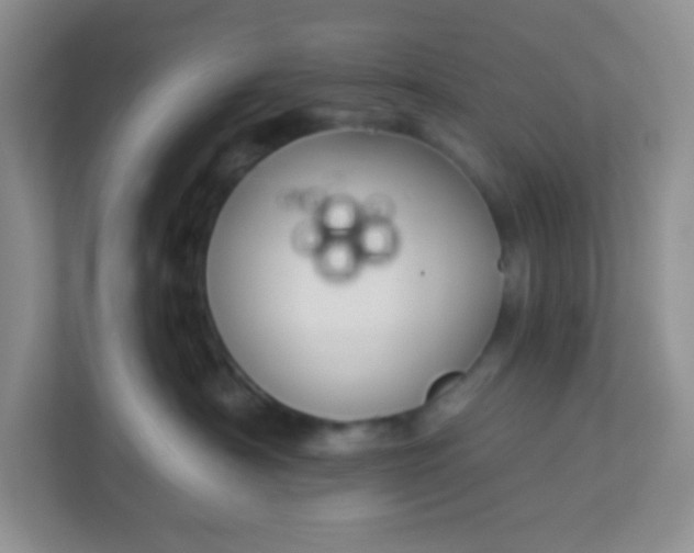 X0000113280430200909280955