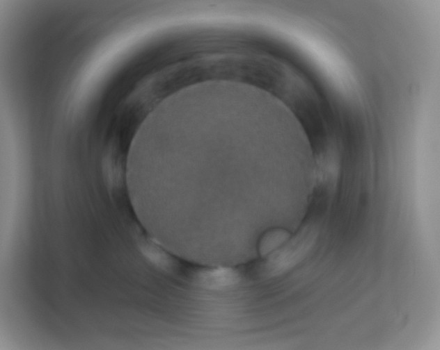 X0000113280431200909280955