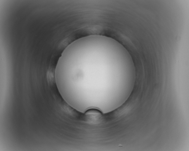 X0000113280432200909280955