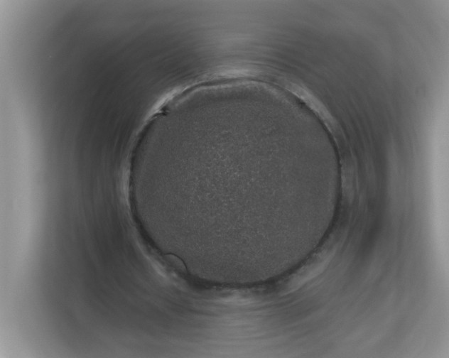 X0000113280434200909280955