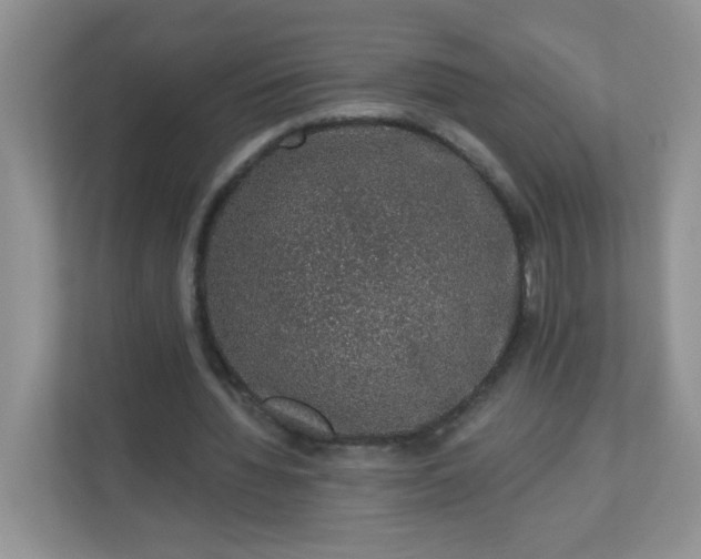 X0000113280436200909280955