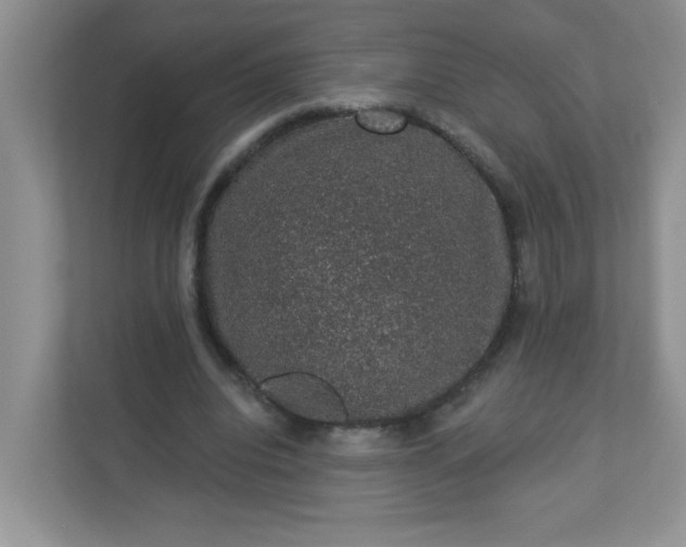 X0000113280440200909280955