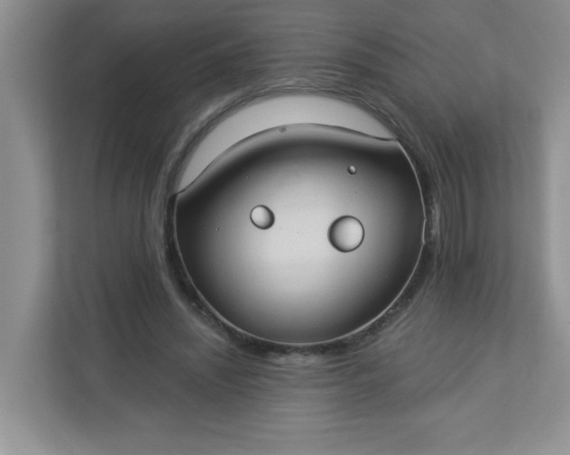 X0000113280444200909280955