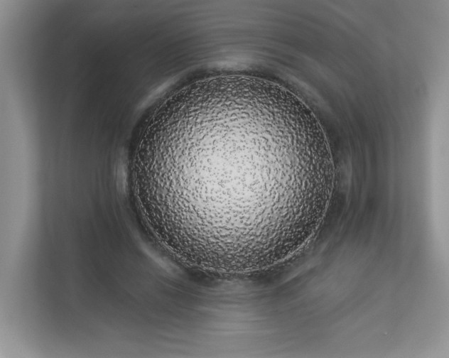 X0000113280446200909280955