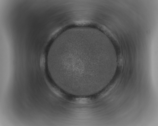 X0000113280448200909280955