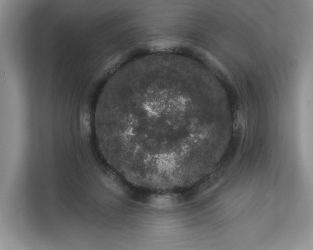 X0000113280452200909280955