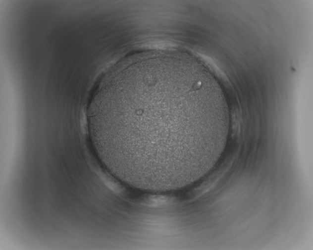 X0000113280453200909280955