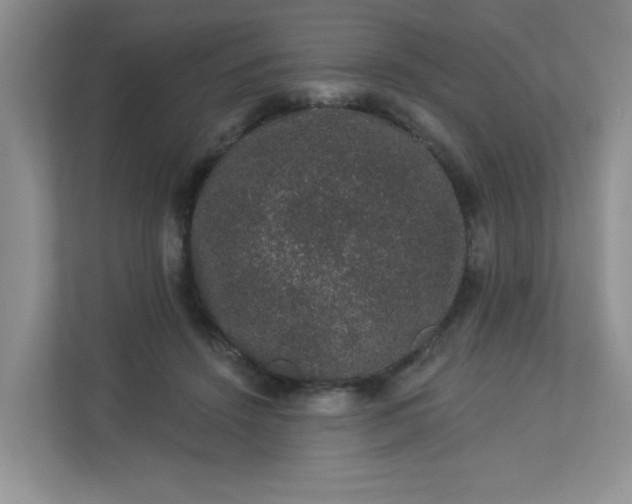 X0000113280456200909280955