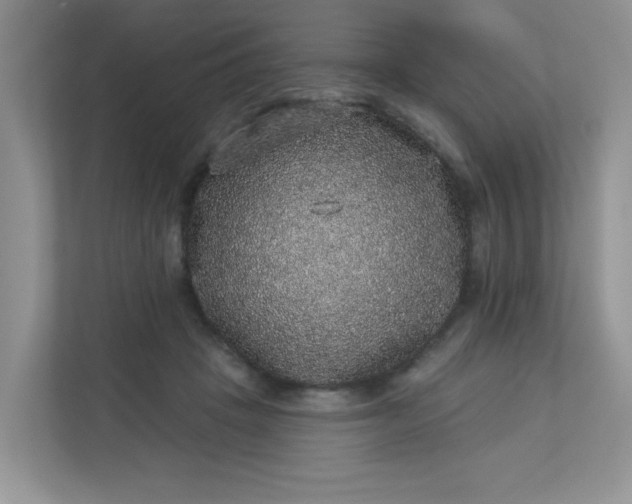 X0000113280457200909280955