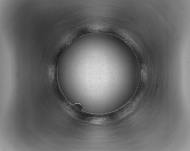 X0000113280458200909280955