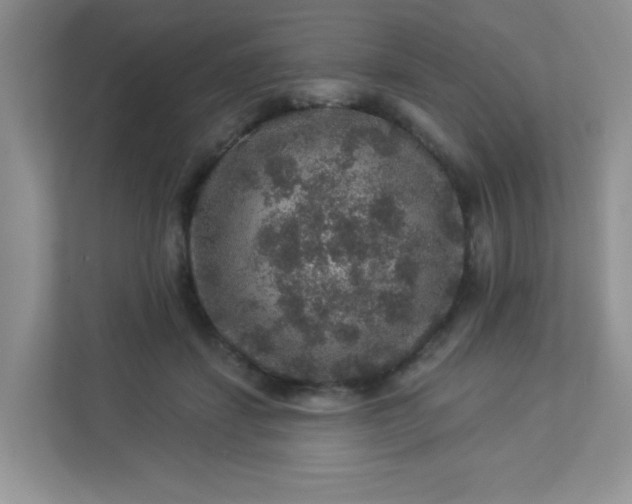 X0000113280459200909280955